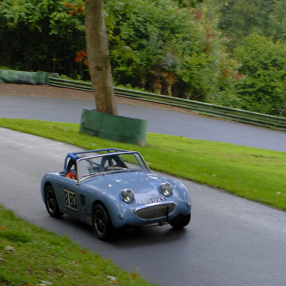 Frogeye.