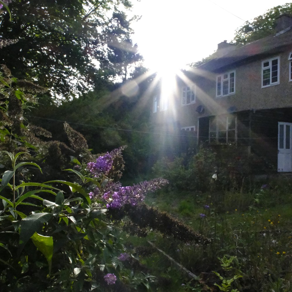 Garden.