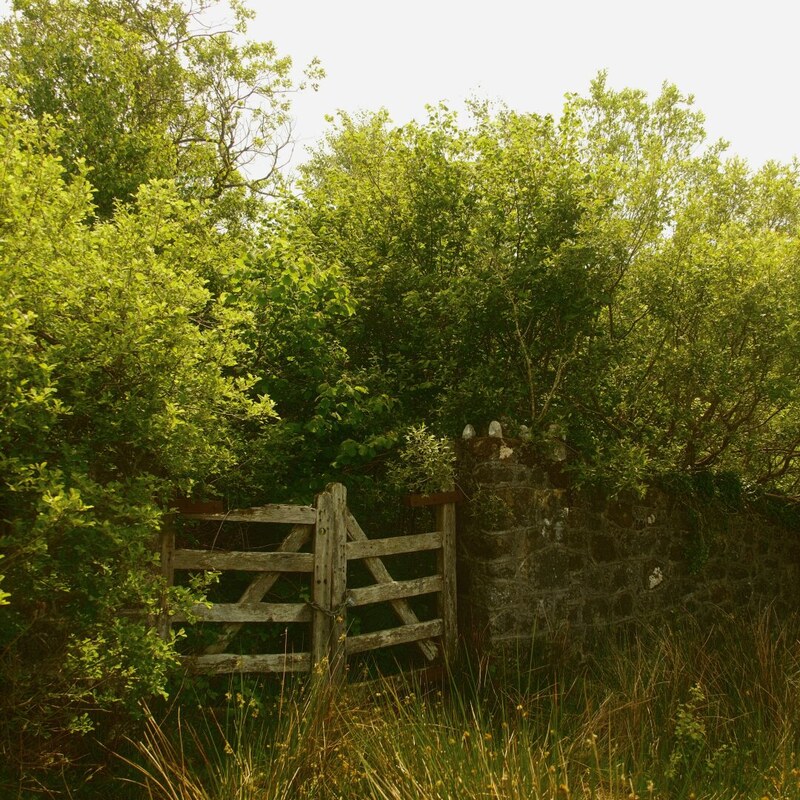 Gate.