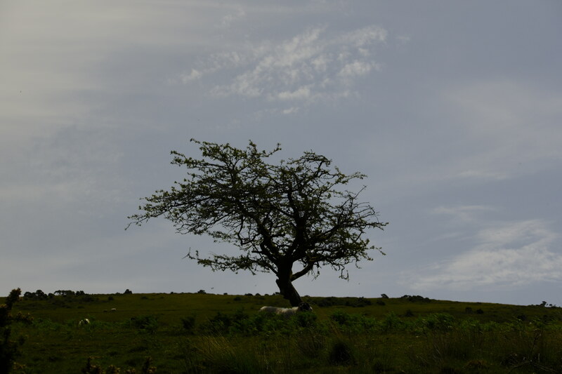 Wind.